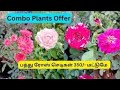 Rs350 combo offer reupload available plants 9994228649