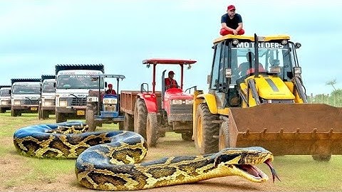 New Jcb 3dx Eco Xpert Backhoe Loading Red Mud In Mahindra and Swaraj Tractor | Jcb Tractor Video