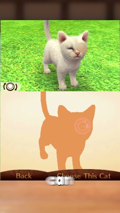 What do cats even do in this game? #shorts #nintendogs #nintendo #3ds