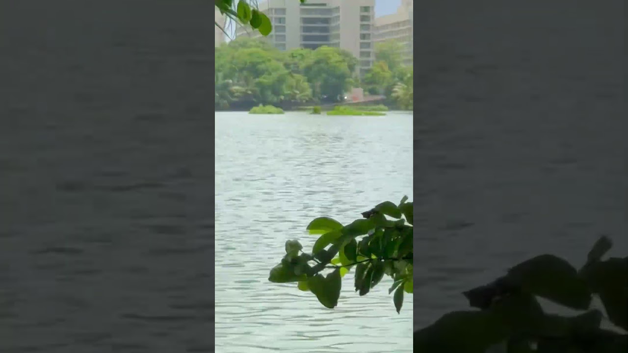 Optical Zoom of Iphone 15 pro max 