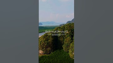 تلاوة من سورة غافر بصوت القارئ مشاري العفاسي | #القرآن_الكريم