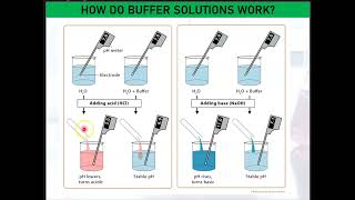Ionic Equilibrium#3.4.2# Basic Buffer System