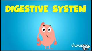 DIGESTIVE SYSTEM (performance task in science 6)