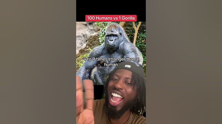 100 Men vs 1 Gorilla Answered