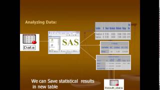 SAS Online Training Hyderabad India