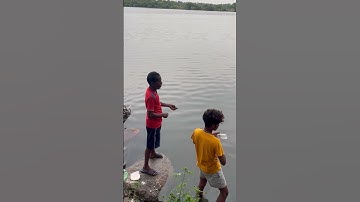 Catching Mullet Fish with a Water Bottle trap & Maida Flour bait - Easy DIY Fishing Hack!