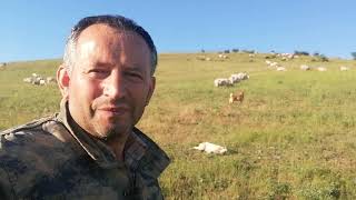 BURSA MUSTAFAKEMALPAŞA OCAKLI