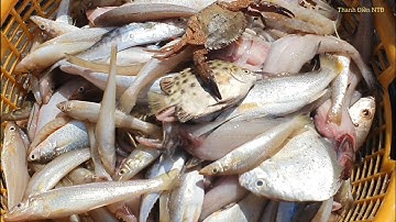Hải sản ghe đống đáy sông cầu ở Vàm Láng TG(seafood in the south of Vietnam)