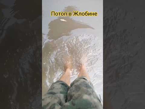 🚣 Вот так люди в Жлобине сегодня добирались на работу #новости #беларусь #жлобин