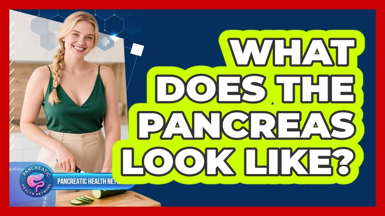 What Does The Pancreas Look Like? - YouTube