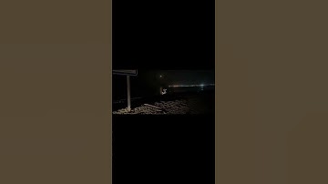 القارئ انس الهبوبي 🍃