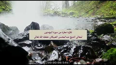 ‏تلاوة من سورة المؤمنون - الشيخ عبدالمحسن العبيكان - حفظه الله