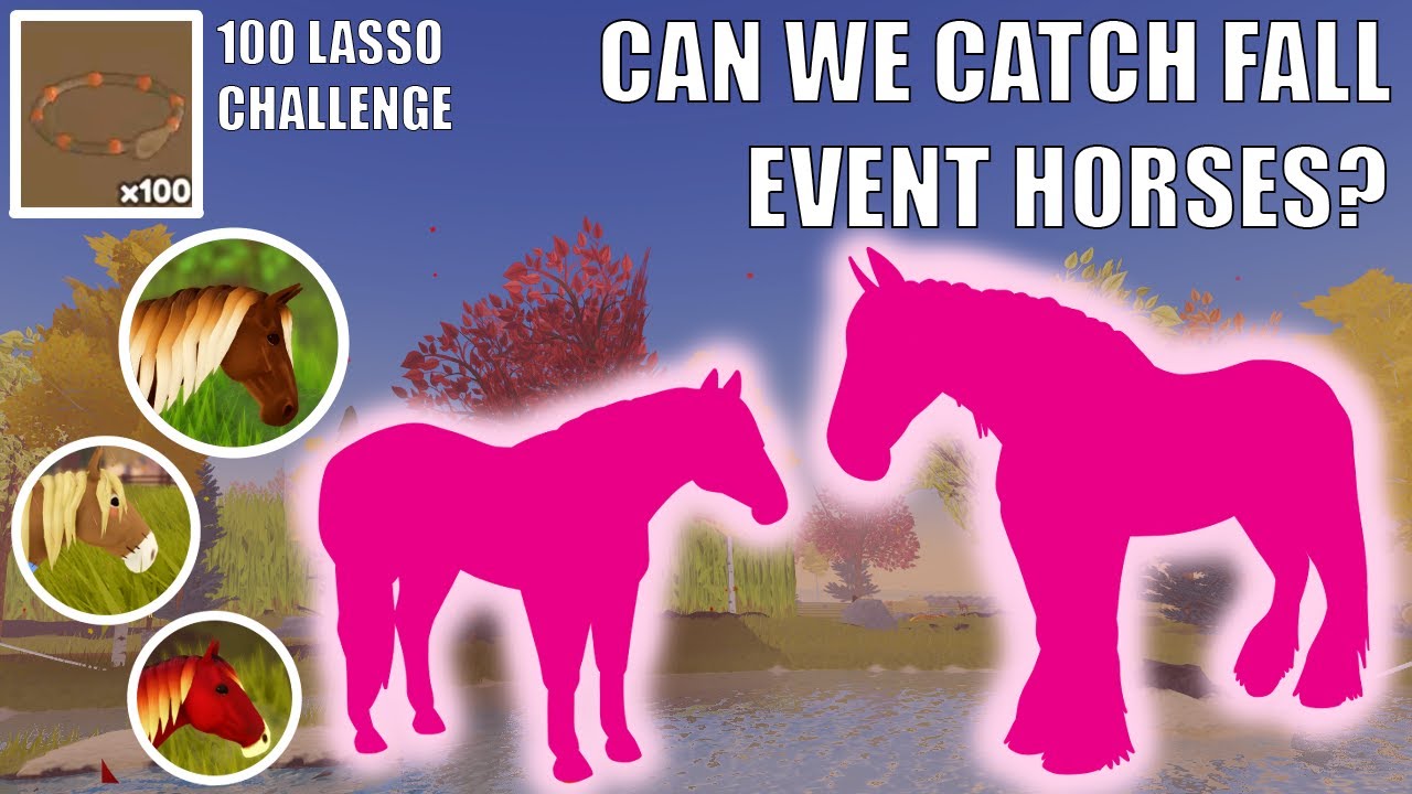 100 LASSO CHALLENGE - fall event - Wild horse islands