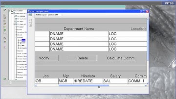 PITSS.CON Application ReEngineering Module - Business Logic Assistant