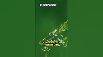 Trace Evidence in household forensic science 2 #forensicscience #facts #science #curiosity #forensic