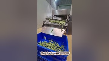 Máy rửa nông sản loại sục khí của Tech Garden. Lh 0935911775 Trần Trinh.