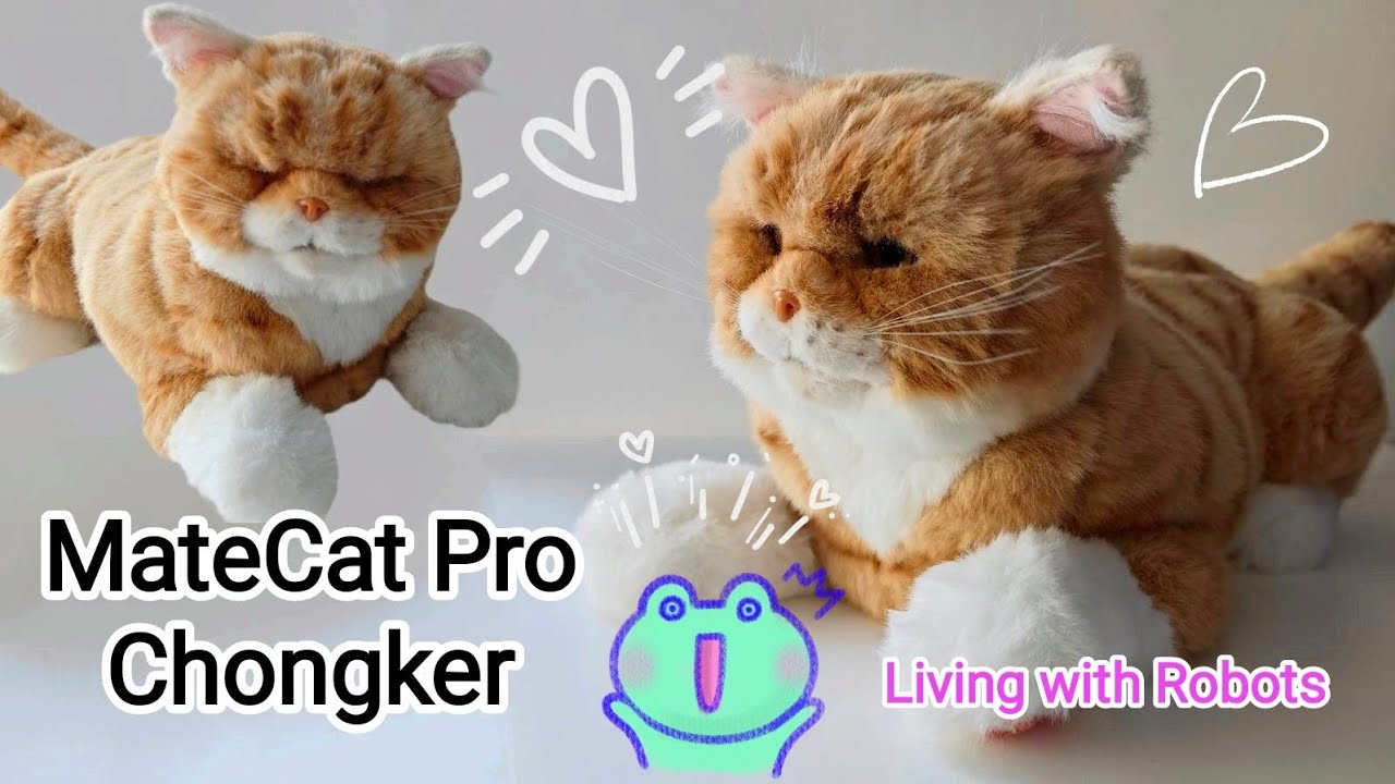 BEST Realistic Robot CAT I've ever SEEN! MateCat Pro by Chongker
