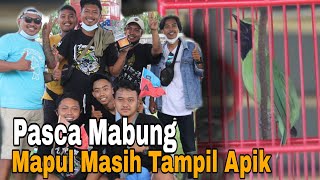 Coba settingan habis mabung, Cucak Hijau Mapul cetak hatrick screenshot 3