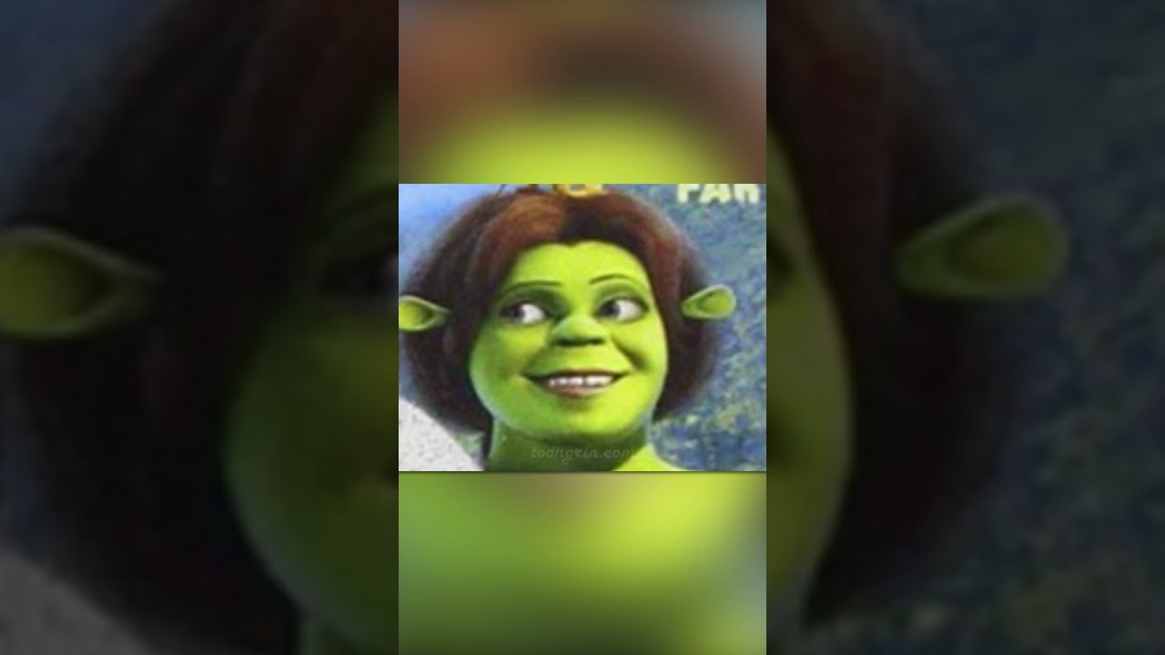 🎬 Shrek 2 Box Cover Review! 📦✨ #toongrinooc #toongrin