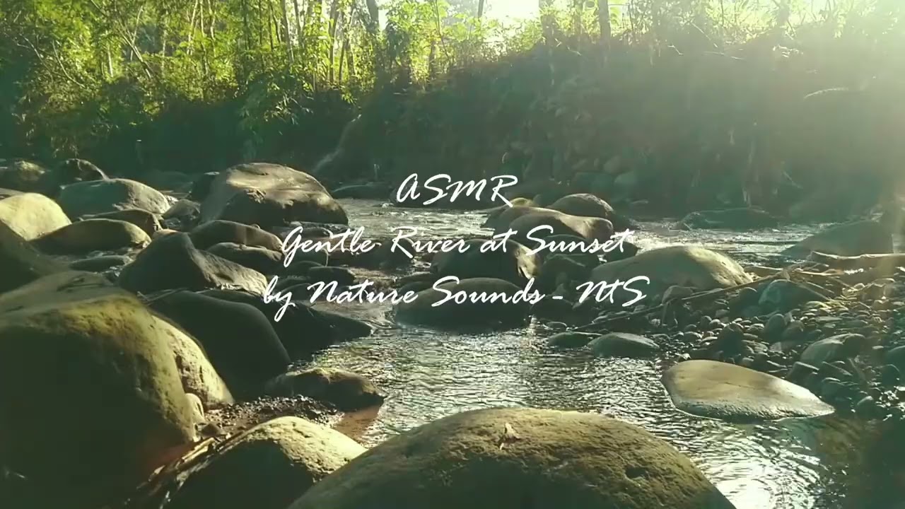 ASMR Gentle River at Sunset 🌅 Relaxing Water Sounds for Sleep & Stress Relief