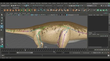Apatosaurus walk Animation showreel | UCM CREATIONS