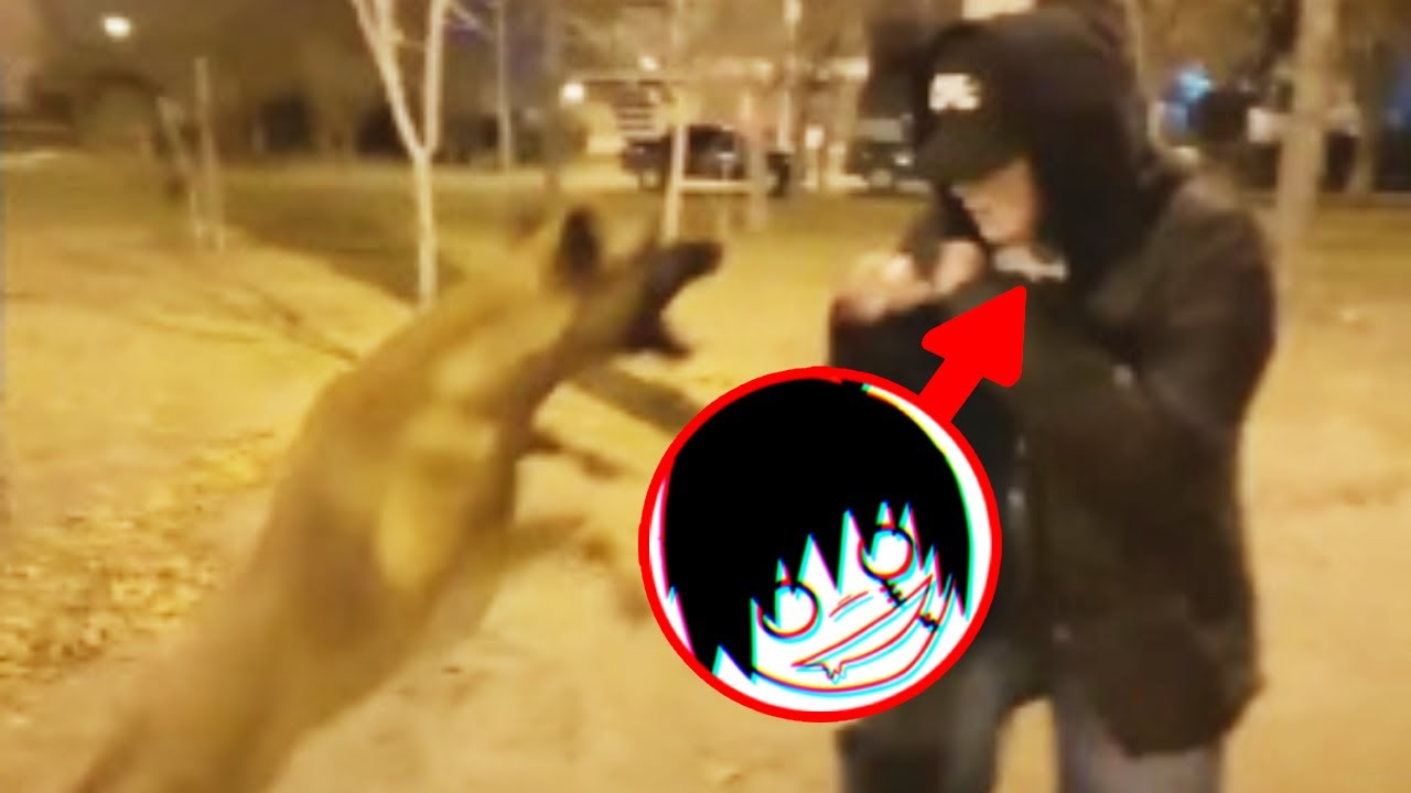 MATIAS CANDIA 2025 | SE METE A UN 