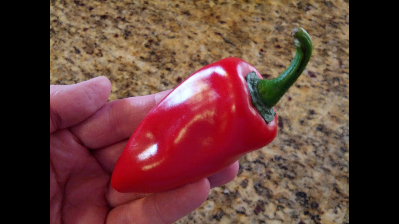 The "Lipstick Pepper" Review from Refining Fire Chiles YouTube