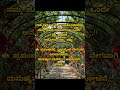 #ಮನದಾಳದ ಮಾತು#Kannada#motivation #videos#shorts