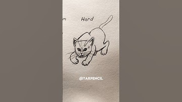 How to draw CATS ✏️ #drawing #art #tutorial #howtodraw #shorts #cat
