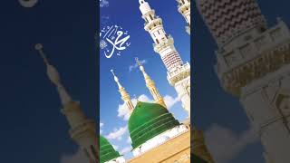 masjid al aqsa falastin ?? ??trendingshorts viral falastine falastine whatsappstatus