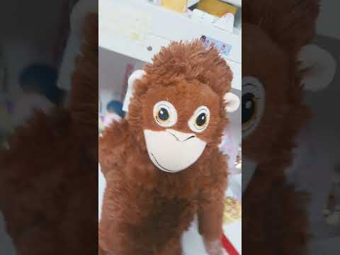오~샹들리제
