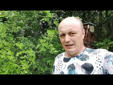 Роеловство 2021. Очередной