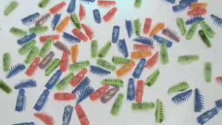 Nano Commercial (30 sec)