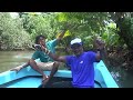 Шри-Ланка-2022. Водное сафари на реке Бентота Ганга. Птицы, вараны,  зелёная змея, крокодил.