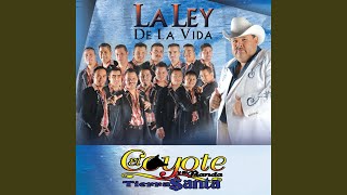 Versión 3 del video