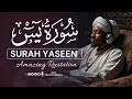 سورة يس (Surah Yasin) | Peaceful Lofi Quran Recitation for Healing &amp; Inner Calm