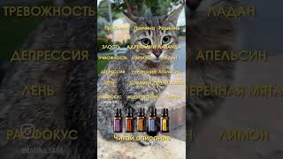 🧠 Эмоции = гормоны. Эфирные масла корректируют гормональный фон