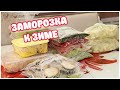 Сезонная Заморозка овощей на Зиму! 🌶🍅🥒Много Всего