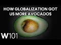 Why are more americans eating avocados  world101