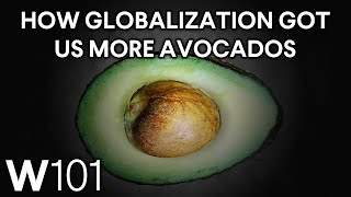 Why Are More Americans Eating Avocados? | World101