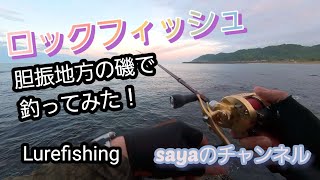 ロックフィッシュ胆振地方の磯で釣ってみた！