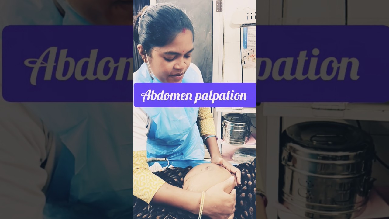 Abdomen palpation 