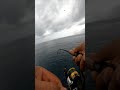 lost a bonita #fishing #catalinaislandfishing #charterboatfishing