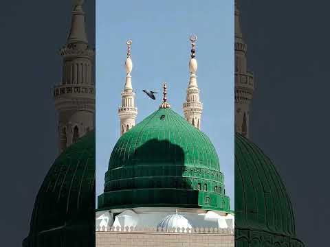Bus raha hai nazar me madina ❤️