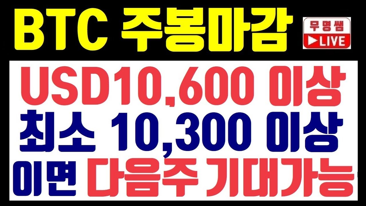 비트코인 주봉 (97) 사진