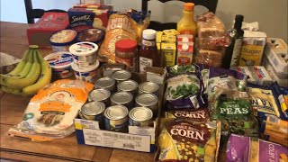 2 Week Grocery Haul || Aldi, Meijer, and GFS