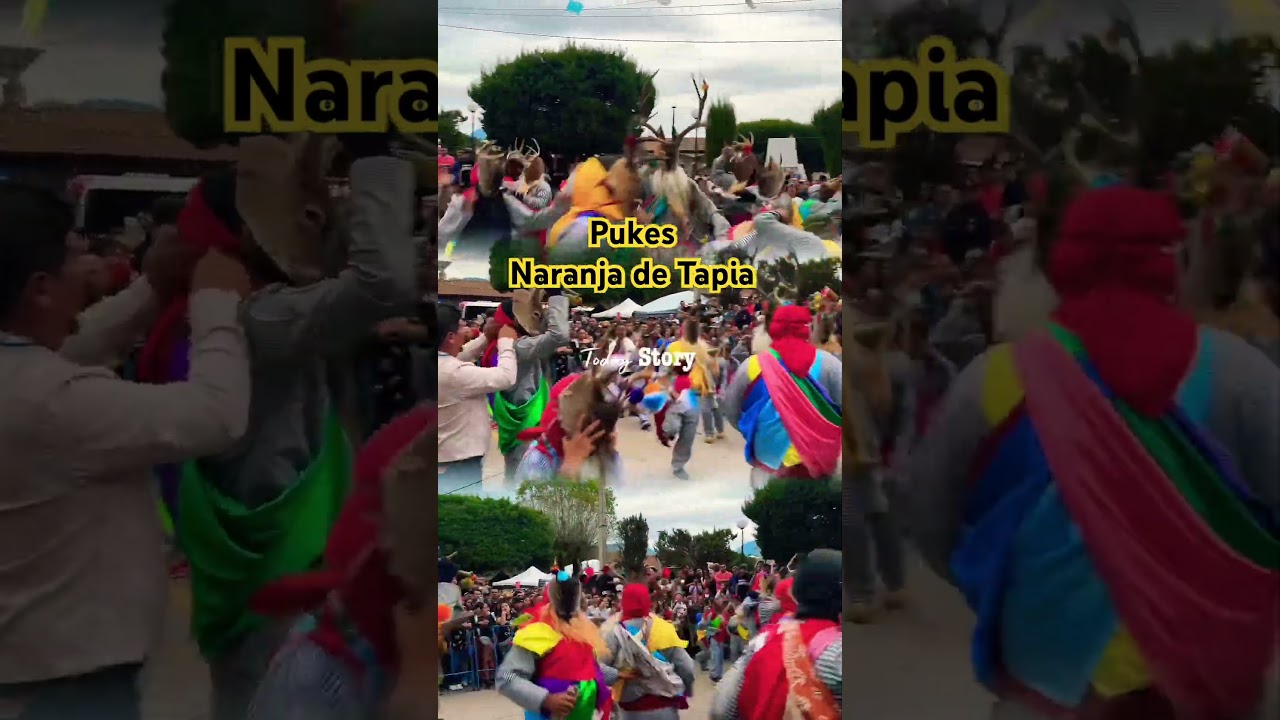 #pukes de #naranjadetapia #viral #shorts