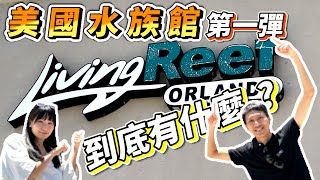 【藍箱水族】美國奧蘭多水族館巡禮-第一彈~Living Reef水族館。詳細開箱全紀錄