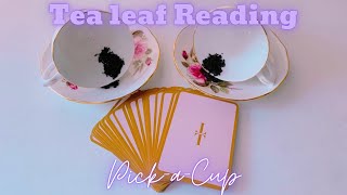 🍃FUTURE PREDICTIONS | TEA LEAF READING🍃