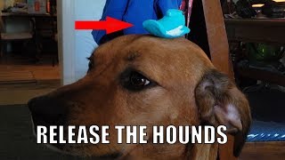 The Great Peeps War